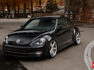 VW_Beetle_CV3_826